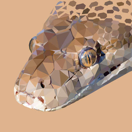 Snake Geometric low poly vector artのイラスト素材