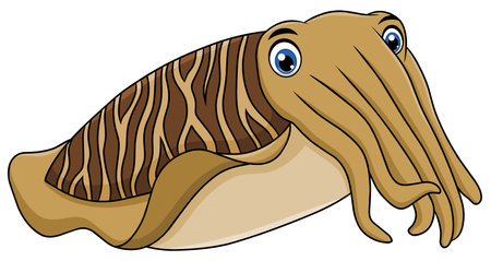 Cute Cuttlefish cartoon vector illustrationのイラスト素材
