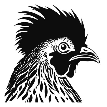 black and white illustration of a rooster head on a white backgroundのイラスト素材
