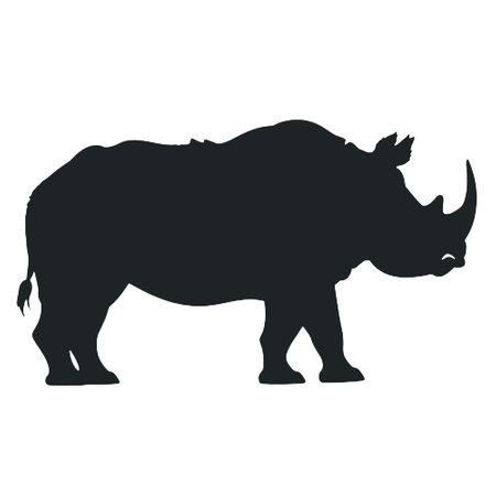 Black rhinoceros silhouette on white background. Vector illustration.のイラスト素材
