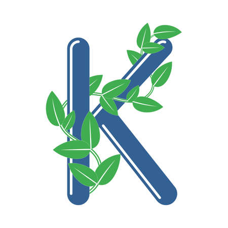 Letter K in floral style with a branch and leaves. Template element for designのイラスト素材