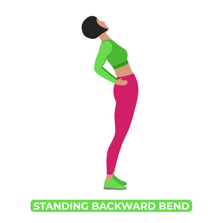 Vector Woman Doing Standing Backward Bend. Spinal Extension. Ardha Chakrasana. An Educational Illustration On A White Background.のイラスト素材
