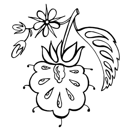 hand drawn, vector, black illustration in Ukrainian folk styleのイラスト素材