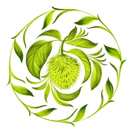 hand drawn illustration in Ukrainian folk styleのイラスト素材