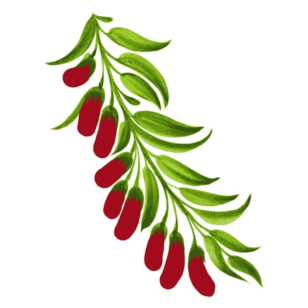 hand drawn illustration in Ukrainian folk styleのイラスト素材