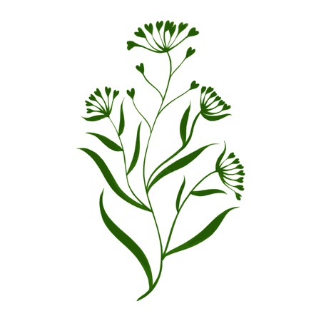 hand drawn illustration in Ukrainian folk styleのイラスト素材