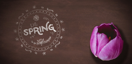 Spring logo against background  against brown blackgroundの写真素材