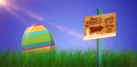 Easter egg hunt sign against grass against white backgroundの写真素材