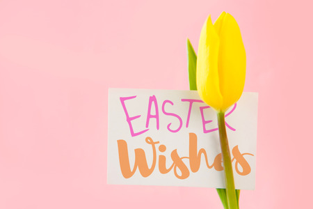 Easter greeting against tulip with cardの写真素材