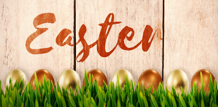 Grass growing outdoors against wood panellingの写真素材