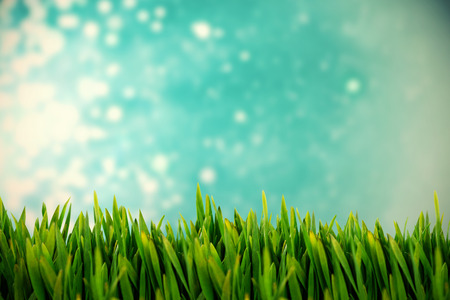 Grass growing outdoors against light design shimmering on blue