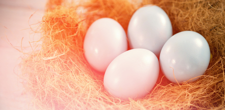 Close-up of blue Easter eggs in nest on wooden tableの写真素材