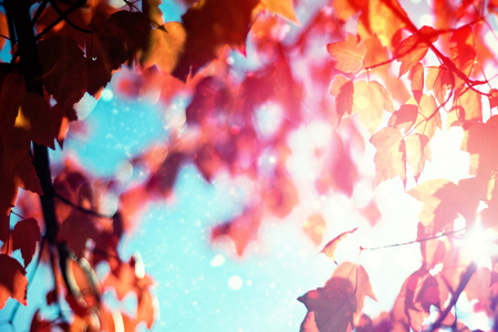 flare against light design shimmering on blueの写真素材