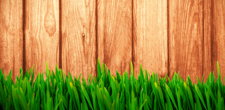 Grass growing outdoors against woodの写真素材