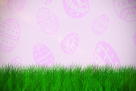 grass against white background  against purple background