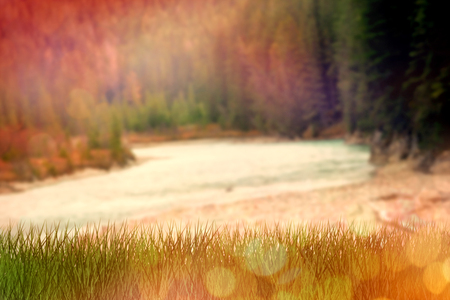 grass against white background  against glowing backgroundの写真素材