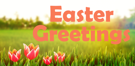 Easter greeting against rice crops growing in fields