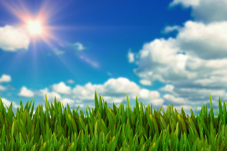 Grass growing outdoors against scenic view of blue skyの写真素材