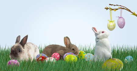 Digital composite of Rabbits and Easter eggs in the mountain