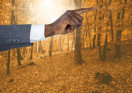 Digital composite of Hand pointing in  air of  forestの写真素材