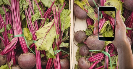 Digital composite of Hand taking picture of beets with mobile phone in grocery storeの写真素材