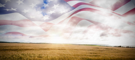 Focus on usa FLAG against field in the countryside