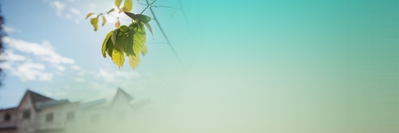 Digital composite of Blurry housing estate with leaf and green transition 3d