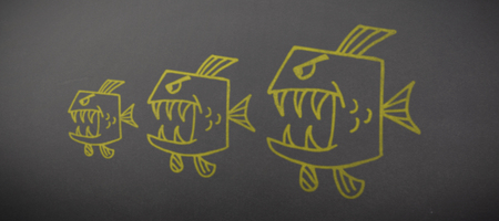 Image of fish on white background against greyの写真素材