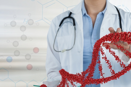 Digital composite of Doctor woman interacting with 3D DNA strandの写真素材