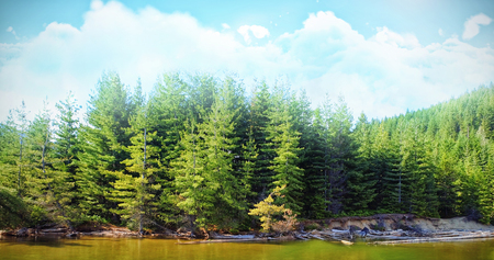 Trees growing by river against sky during sunny dayの写真素材