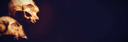 Close up of human skulls over brown backgroundの写真素材