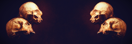 High angle view of human skulls over brown backgroundの写真素材