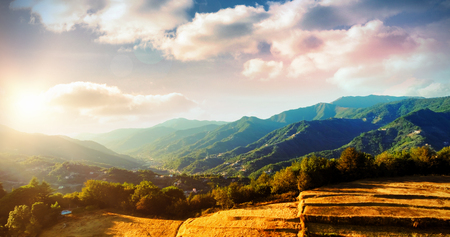 Wheat field in mountainの写真素材