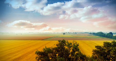 Landscape of multiple grass field behind treesの写真素材