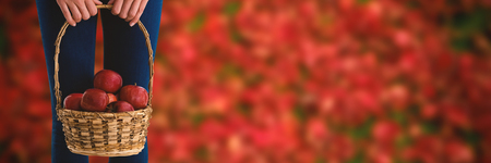 Mid section of woman holding apples in wicker basket against autumn leaves on field