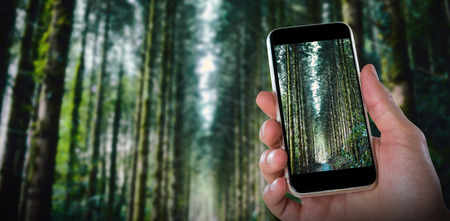 Close-up of hand holding mobile against trees in forestの写真素材