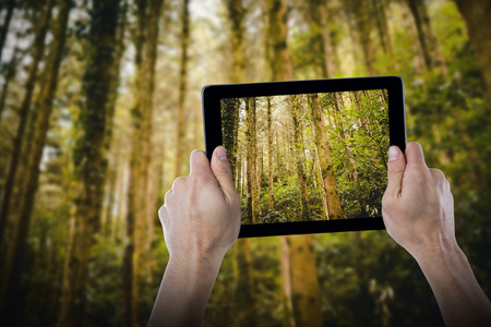 Cropped hand holding digital tablet against low angle view of treesの写真素材
