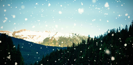 Wake in river amidst trees against skyの写真素材