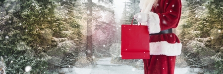 Digital composite of Santa with Winter landscape holding shoppingの写真素材