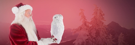 Digital composite of Santa Claus in Winter with owlの写真素材