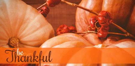 Thanksgiving greeting text against close up of pumpkins and plant stemsの写真素材