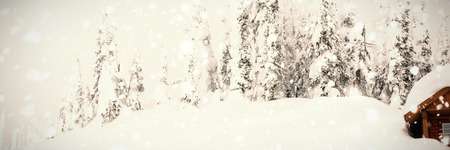 Trees full of snow beside wood house