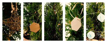 Christmas trees decorated