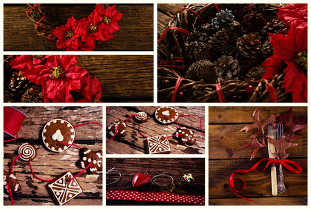 Red flowers and pine coneの写真素材