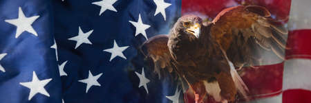 Close up of golden eagle against flag with stripes and stars