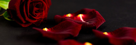 Red rose and petals on black backgroundの写真素材