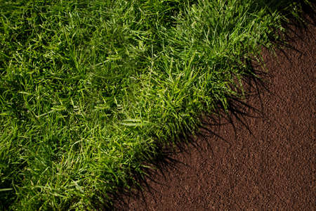 Diagonal separate green and brown