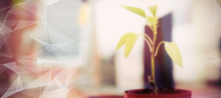 Close-up of potted plant against abstract glowing black backgroundの写真素材