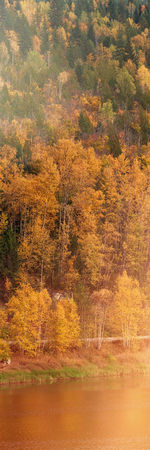 Beautiful autumn forest on the river coastの写真素材