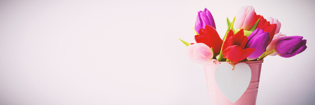 Flowers in a flowerpot on white backgroundの写真素材